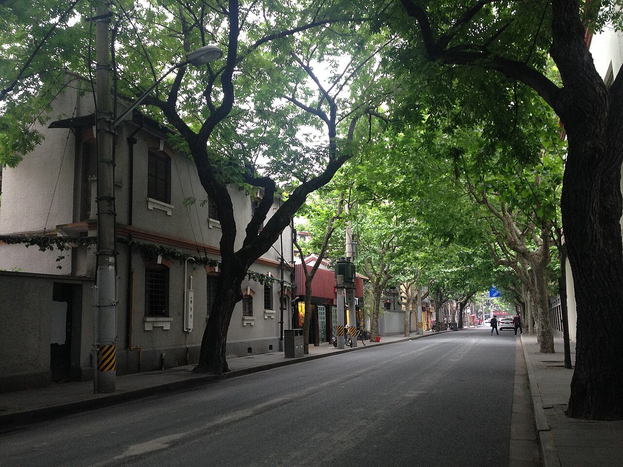 Wukang Road lined with plane trees and old villas
